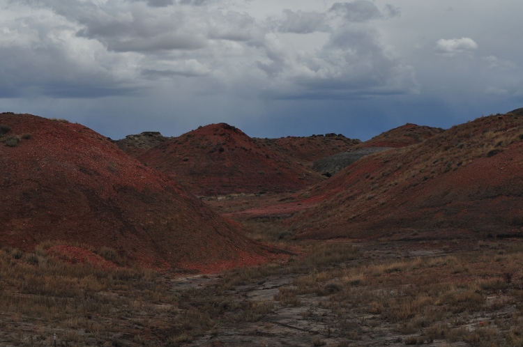 bisti wilderness